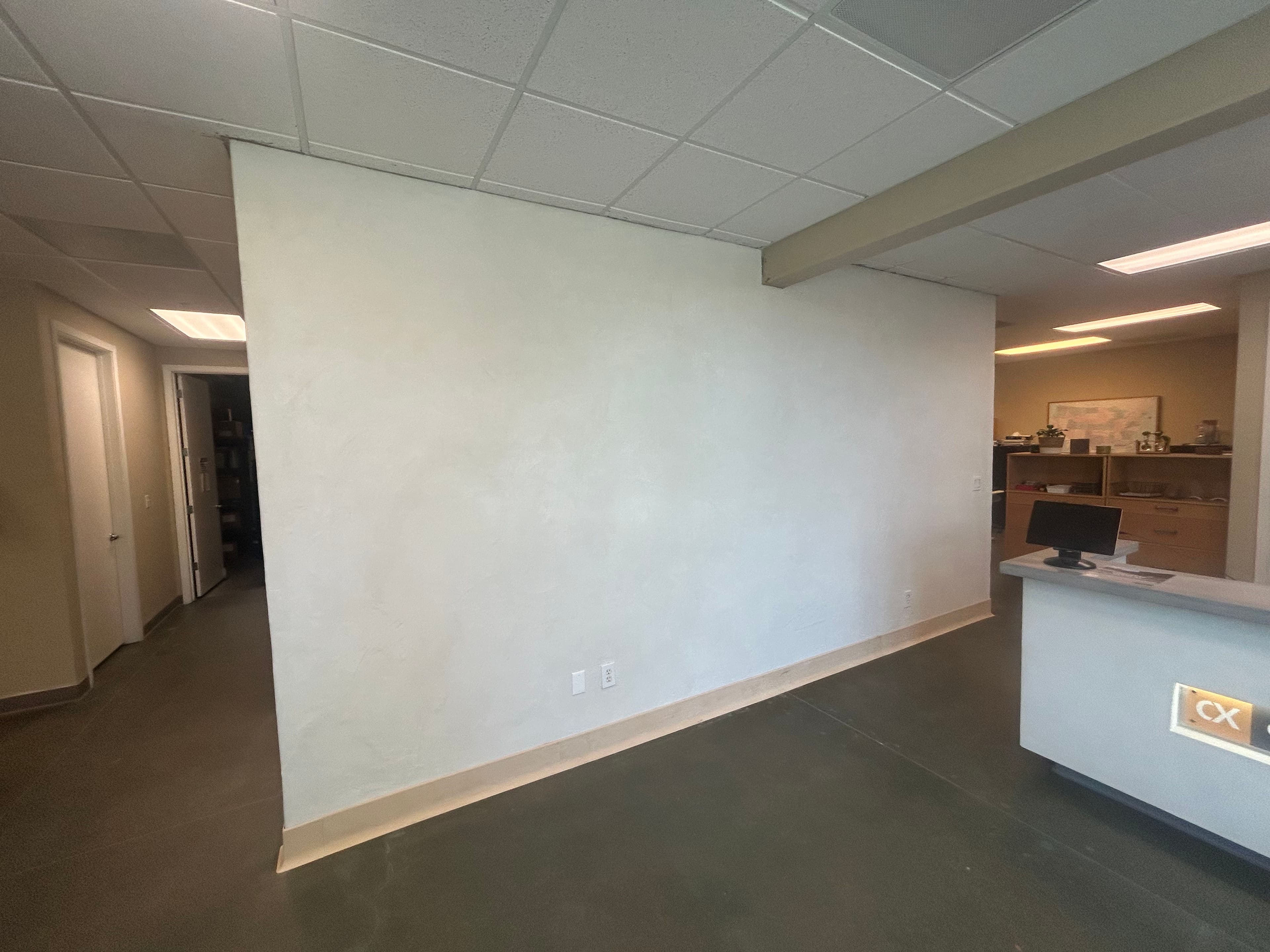 Project Interior Microcement Accent Wall That Actually Makes a Statement image